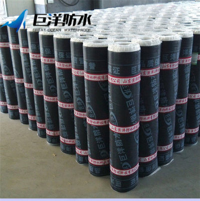 河北sbs防水卷材 保質期服務為先,山東巨洋防水