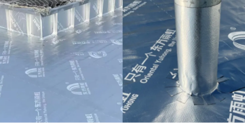 東方雨虹再獲金禹獎,攜手寶馬續寫合作新篇章